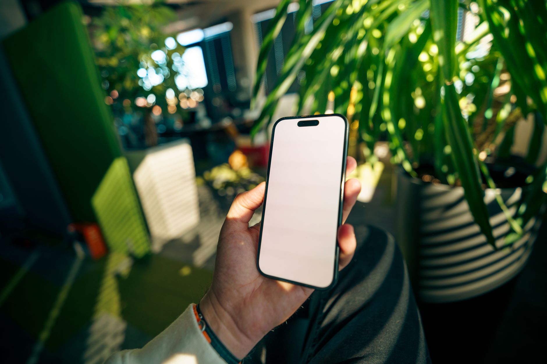 App User Experience Interface Mockup